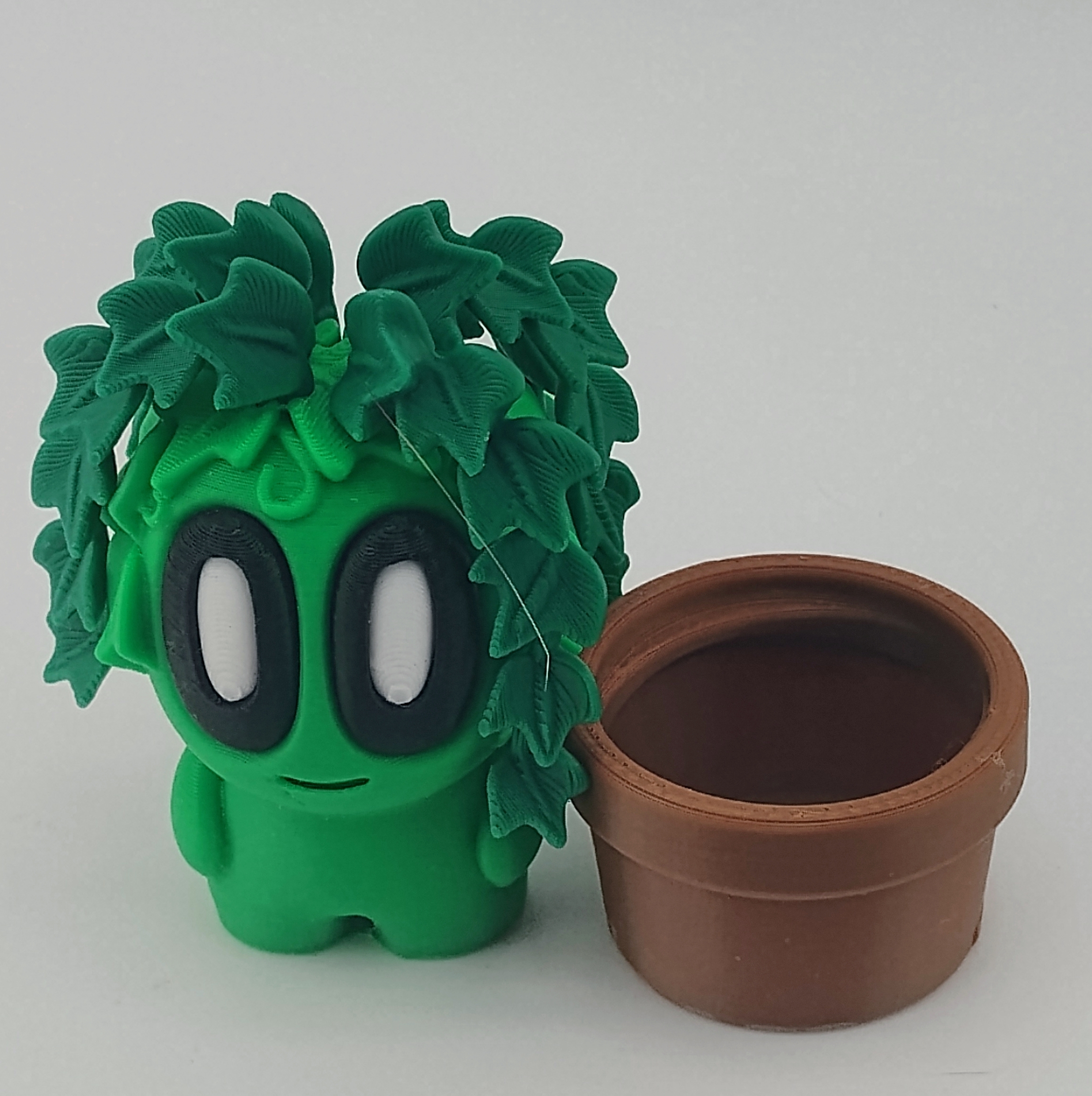 Plants