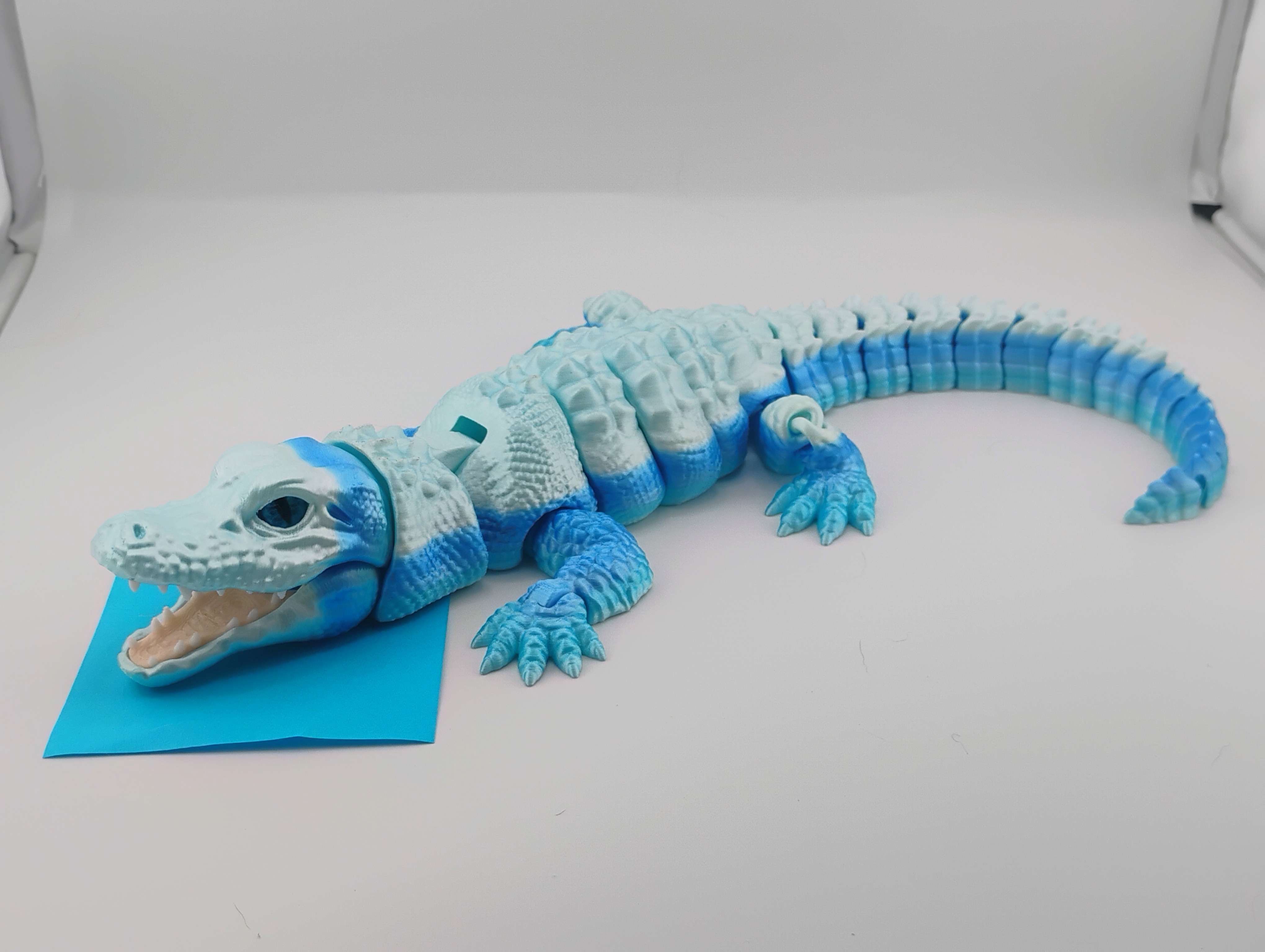Alligators